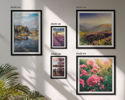 Set of 5 wall art pieces Landscapes nature flowers mountains