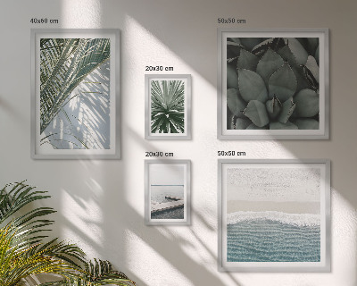 Gallery wall Tropical plants with the sea