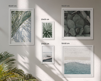 Gallery wall Tropical plants with the sea