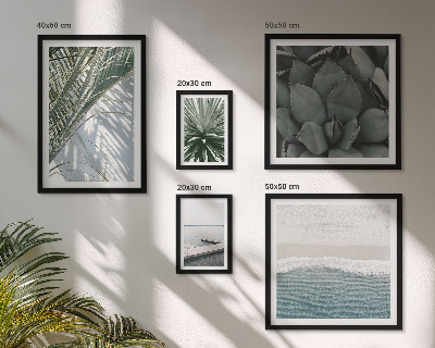 Gallery wall Tropical plants with the sea