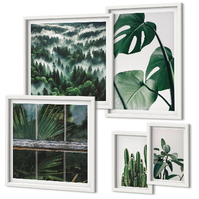 Framed photo set Plant inspirations from the tropics