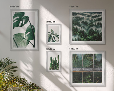 Framed photo set Plant inspirations from the tropics