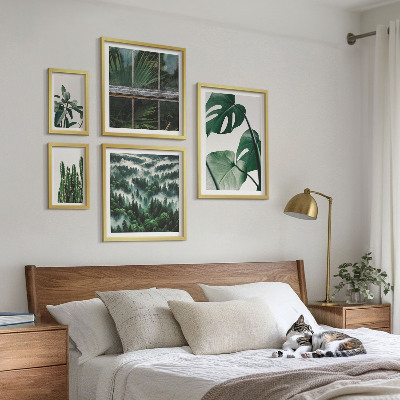 Framed photo set Plant inspirations from the tropics