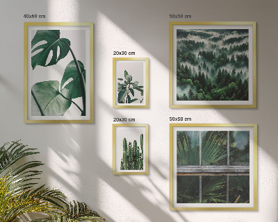 Framed photo set Plant inspirations from the tropics