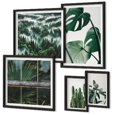 Framed photo set Plant inspirations from the tropics