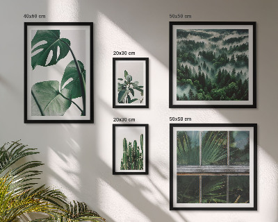 Framed photo set Plant inspirations from the tropics
