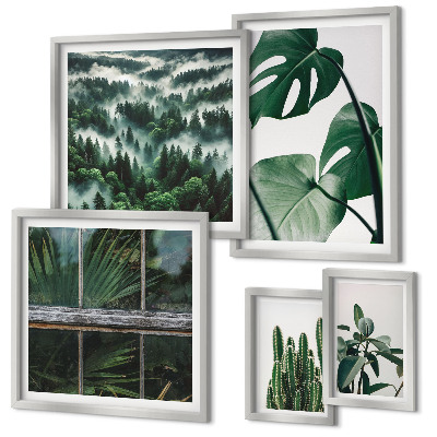 Framed photo set Plant inspirations from the tropics