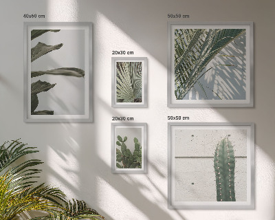 Framed photo set Modern plant accents