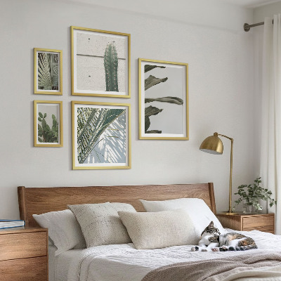 Framed photo set Modern plant accents