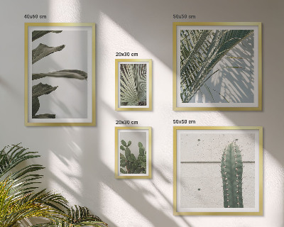 Framed photo set Modern plant accents