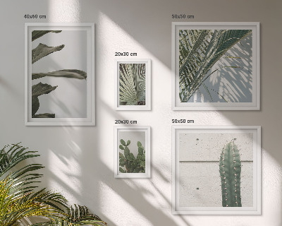 Framed photo set Modern plant accents