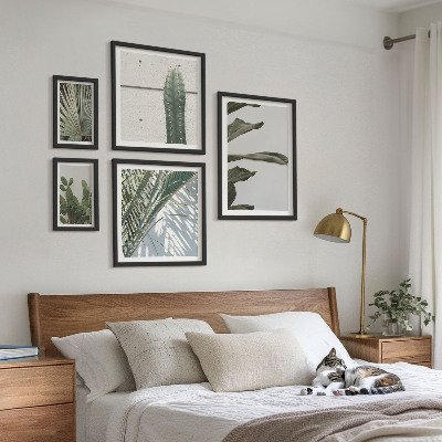 Framed photo set Modern plant accents