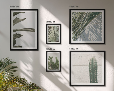 Framed photo set Modern plant accents