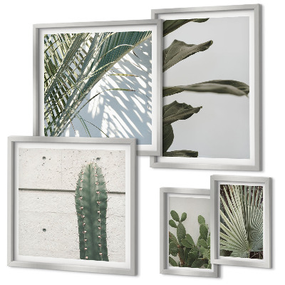 Framed photo set Modern plant accents