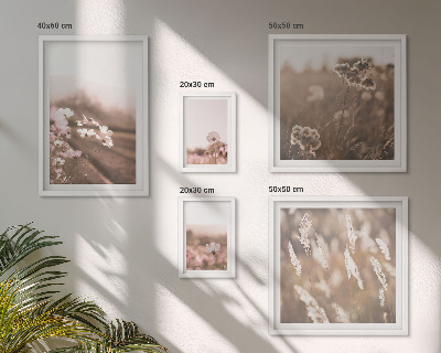 Framed photo set Floral motifs of delicate nature