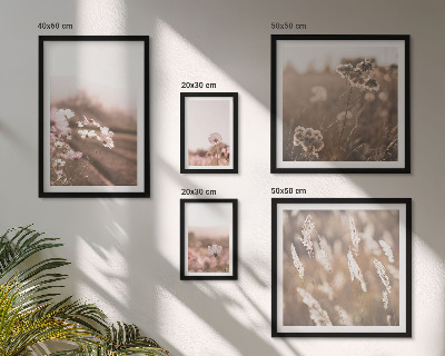 Framed photo set Floral motifs of delicate nature