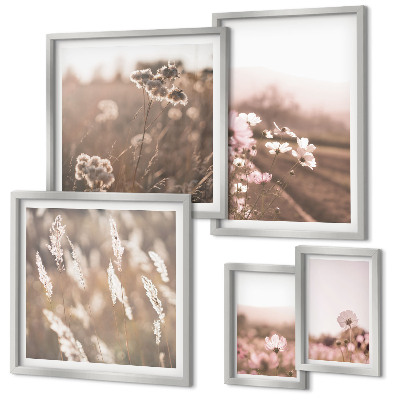 Framed photo set Floral motifs of delicate nature