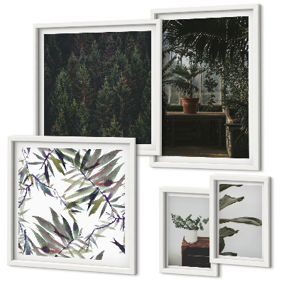 Framed photo set Green oasis plant motifs