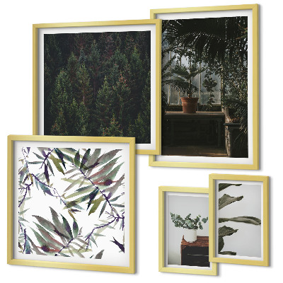 Framed photo set Green oasis plant motifs