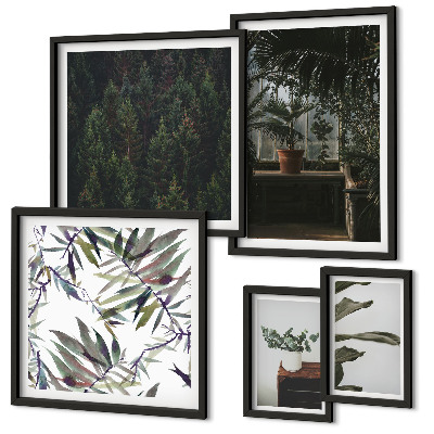 Framed photo set Green oasis plant motifs