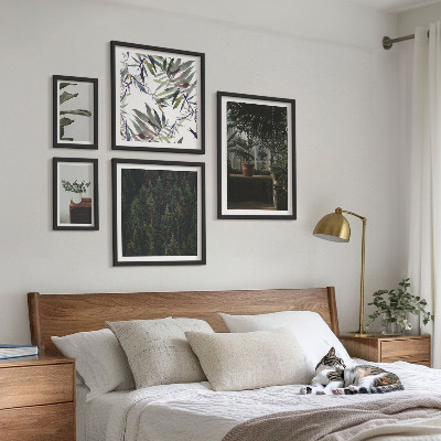 Framed photo set Green oasis plant motifs