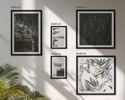Framed photo set Green oasis plant motifs