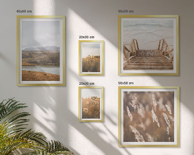 Framed photo set Natural landscapes of the lake field
