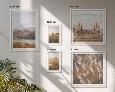 Framed photo set Natural landscapes of the lake field