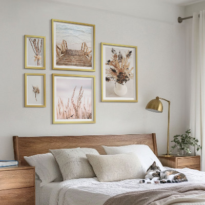 Framed photo set Stylish dried plants and water