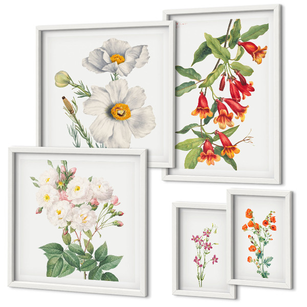 Set of 5 wall art pieces Floral Botanical Illustrations