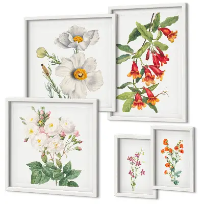 Floral Botanical Illustrations set of 5 wall art pieces