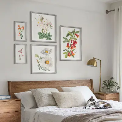 Floral Botanical Illustrations set of 5 wall art pieces