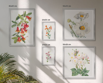 Set of 5 wall art pieces Floral Botanical Illustrations