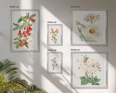 Floral Botanical Illustrations set of 5 wall art pieces