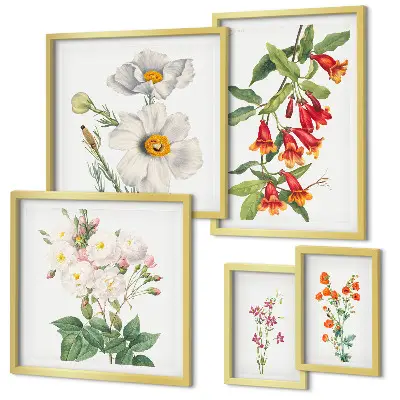 Floral Botanical Illustrations set of 5 wall art pieces