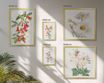 Set of 5 wall art pieces Floral Botanical Illustrations