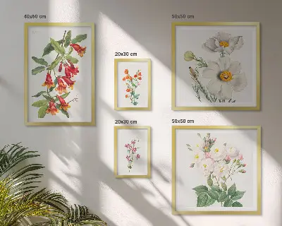 Floral Botanical Illustrations set of 5 wall art pieces