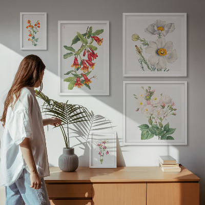 Set of 5 wall art pieces Floral Botanical Illustrations