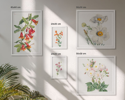 Set of 5 wall art pieces Floral Botanical Illustrations