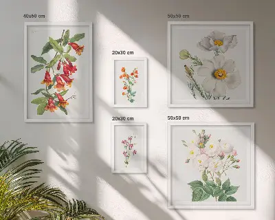 Floral Botanical Illustrations set of 5 wall art pieces