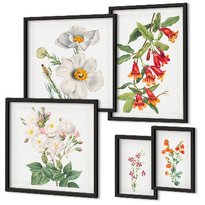 Set of 5 wall art pieces Floral Botanical Illustrations