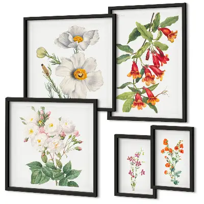 Floral Botanical Illustrations set of 5 wall art pieces
