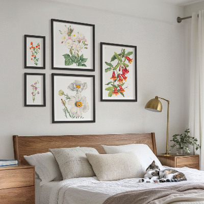 Set of 5 wall art pieces Floral Botanical Illustrations
