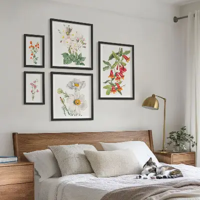 Floral Botanical Illustrations set of 5 wall art pieces