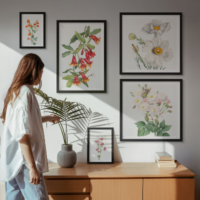 Set of 5 wall art pieces Floral Botanical Illustrations