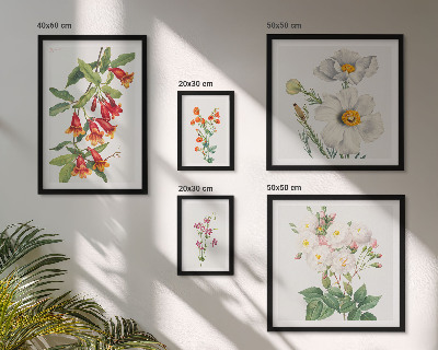 Set of 5 wall art pieces Floral Botanical Illustrations