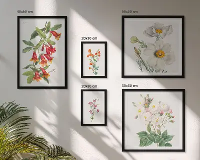 Floral Botanical Illustrations set of 5 wall art pieces