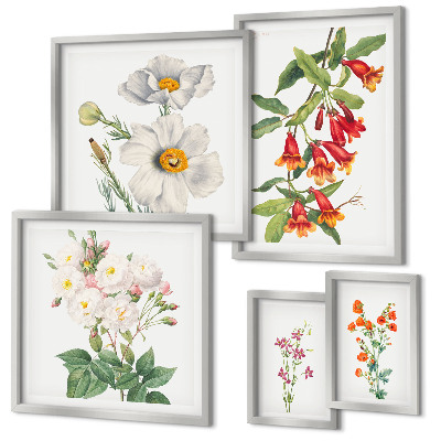 Set of 5 wall art pieces Floral Botanical Illustrations