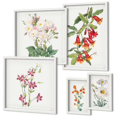Gallery wall Floral botanical motifs