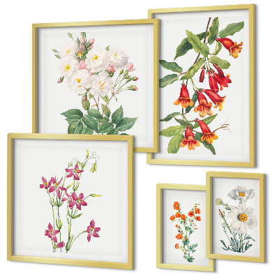 Gallery wall Floral botanical motifs